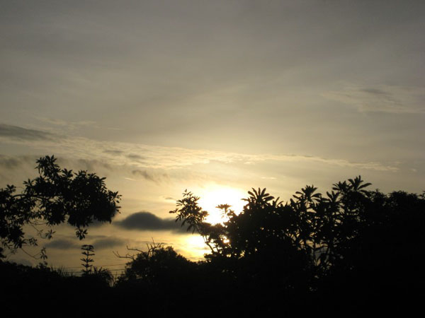 pic (4)